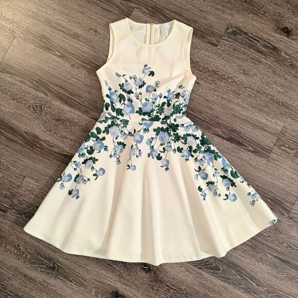 Erin Fetherston Suzie Sleveless Scuba Neoprene Floral Fit & Flare Dress Size 0 - Picture 1 of 10